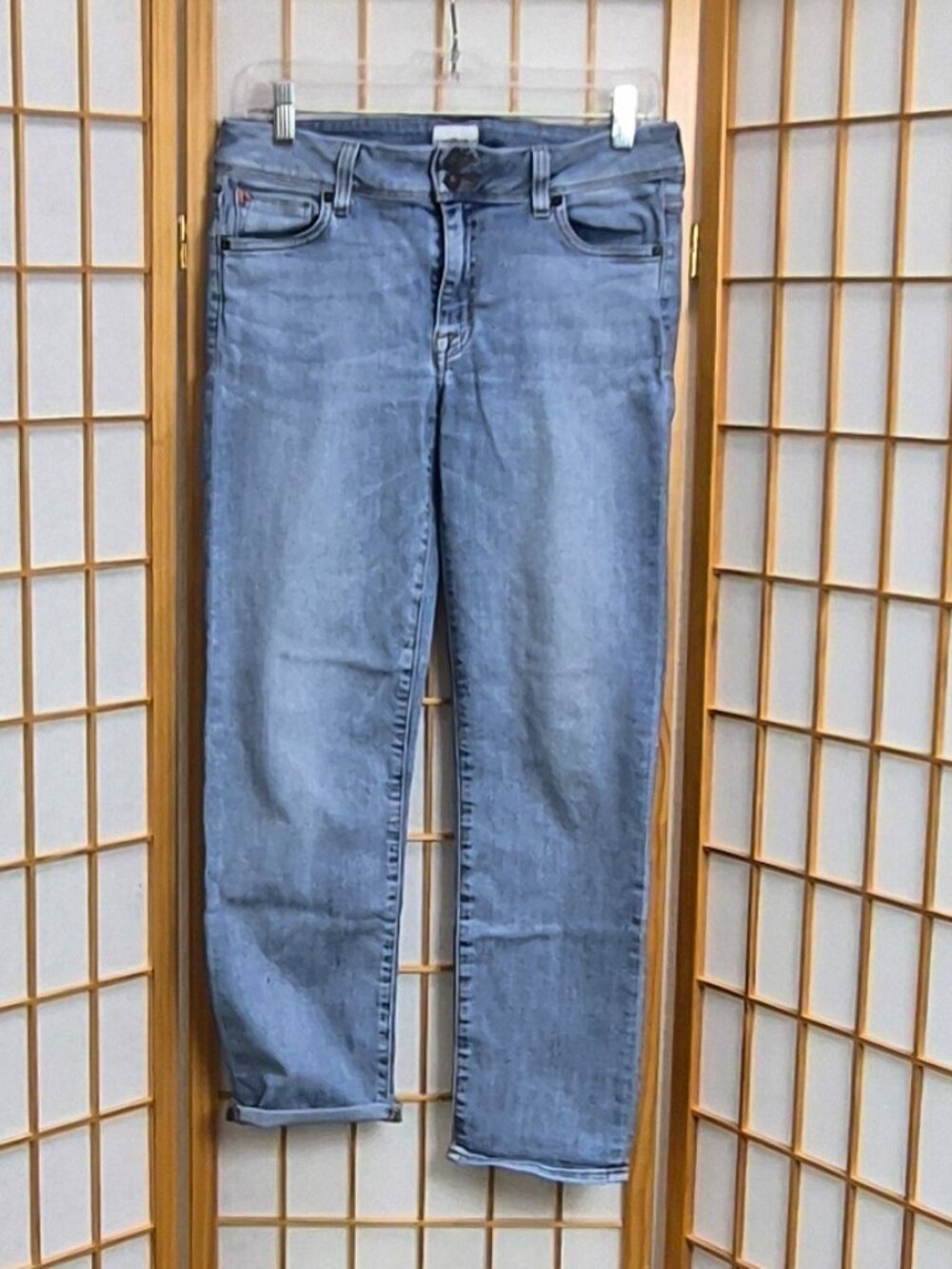 Hudson Jeans Ginny Straight jeans light blue EUC size 29 double button zip fly